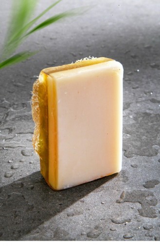 Savon Artisanal Aux Fibres De Citrouille Et à L`extrait D`aloe Vera 8698500909121