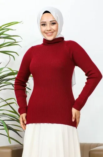 Rollkragenpullover Weinrot 0060MP.BRD