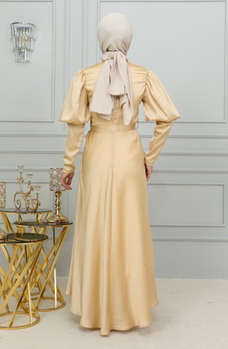 Kol Detaylı Kuplu Abiye Elbise 6084-03 Gold