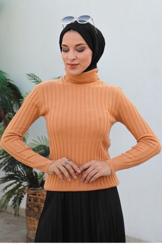 0028Mp Pull Maille Rayures Verticales Camel 6154