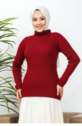 0060Mp Turtleneck Sweater Claret Red 7341