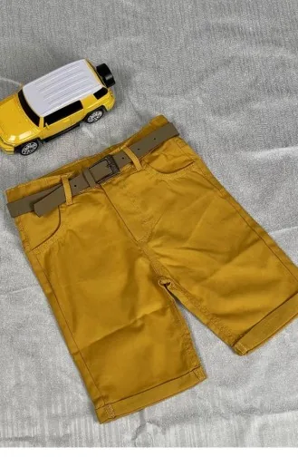 2248Tt Boy Shorts Mustard 7531