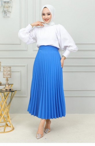 5054Nrs Pleated Skirt Blue 15111