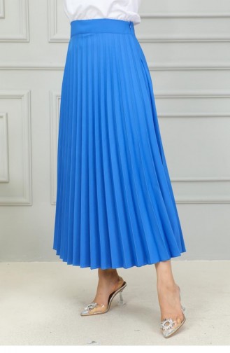 5054Nrs Pleated Skirt Blue 15111