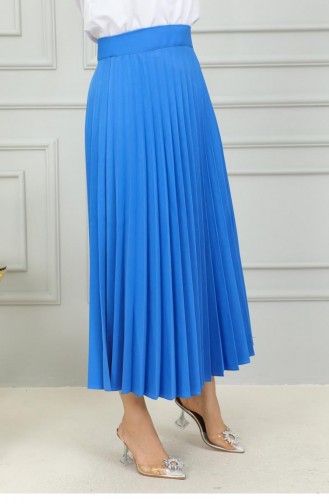 5054Nrs Pleated Skirt Blue 15111