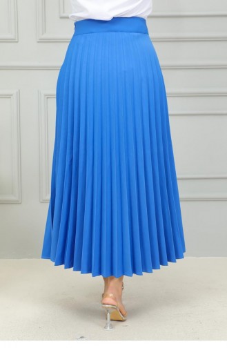 5054Nrs Pleated Skirt Blue 15111