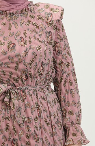 Robe Plissée Rembourrée Rose Séchée 7744 865