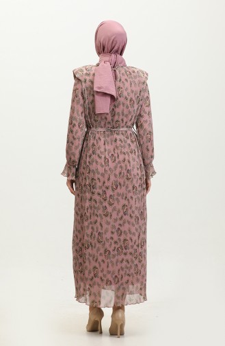 Robe Plissée Rembourrée Rose Séchée 7744 865