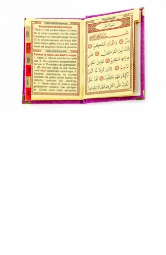20 Stück Preiswerte Mit Samt überzogene Yasin-Bücher Mit Personalisiertem Teller Taschenformat Fuchsia-Farbe Mevlit-Geschenk 4897654300388 4897654300388