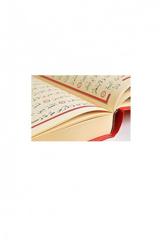 Holy Quran Plain Arabic Medium Size Audio Computer Line 4395843958004 4395843958004