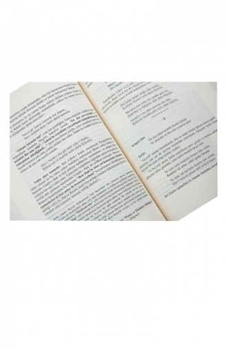 Commentaire Du Niyazi Misri Divan 4572004572006 4572004572006