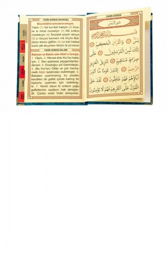 20 Stück Wirtschaftliches Mit Samt überzogenes Yasin-Büchertaschenformat Ölfarbe Religiöses Geschenk 4897654300392 4897654300392