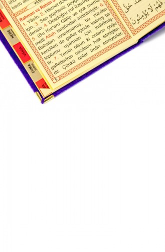 20 Stück Wirtschaftliche Yasin-Büchertaschen Mit Samtbezug Größe Lila Religiöses Geschenk 4897654300400 4897654300400