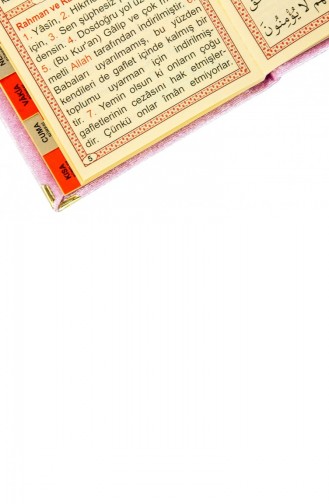 20 Stück Wirtschaftliche Yasin-Büchertaschen Mit Samtbezug Größe Rosa Religiöses Geschenk 4897654300406 4897654300406