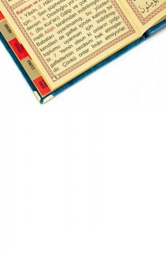 20 Stück Wirtschaftliche Mit Samt überzogene Yasin-Büchertasche Größe Name Bedrucktes Schild Ölfarbe Mevlid Geschenk 4897654300420 4897654300420