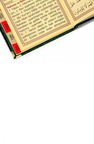 20 Stück Wirtschaftliche Mit Samt überzogene Yasin-Büchertasche Größe Name Bedrucktes Schild Grün Mevlid-Geschenk 4897654300432 4897654300432