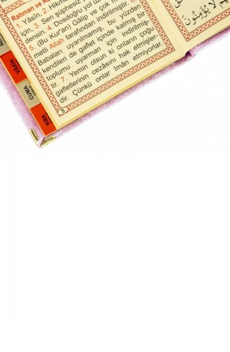 10 Adet Kadife Kaplı Yasin Kitabı Çanta Boy İsme Özel Plakalı Tesbihli Keseli Pembe Renk Mevlüt Hediyeliği 4897654301045