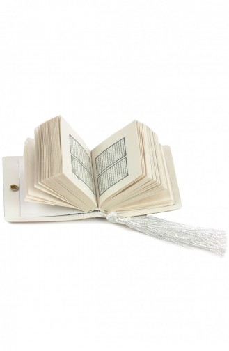 Mini-Koran Einfarbig Arabisch Grün 4897654302296 4897654302296