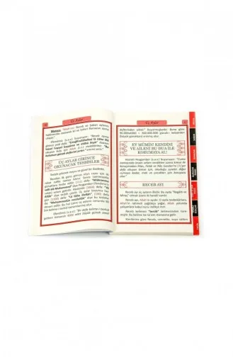 De Wijsheid En Deugd Van De Drie Maanden 1111 9786054496365 9786054496365