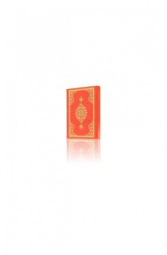 Ligne D`ordinateur De Taille De Mosquée Arabe Plaine Du Coran Hayrat Neşriyat 9786055432188 9786055432188