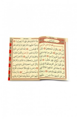 Yasin Kitabı Orta Boy 128 Sayfa İri Yazılı Sade Arapça Fetih Yayınları Mevlid Hediyeliği 9786056140631