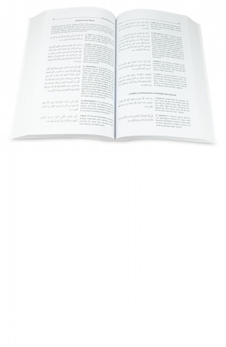 Koran Systematischer Koranindex Nach Themen Taschenbuch 9789756004739 9789756004739