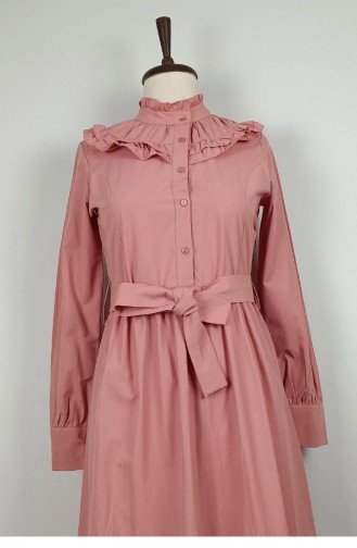 Robe Détaillée à Volants Rose Séchée 7736 928