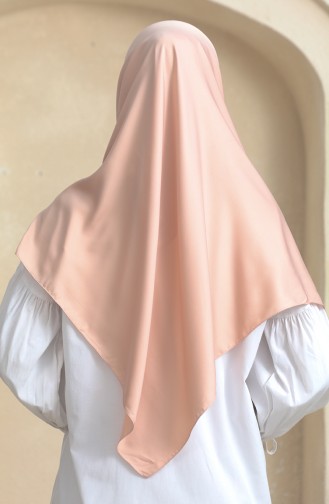 إيشارب رايون 2232RYN-01 سلموني 2232RYN-01