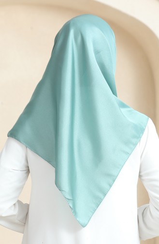 Plain Crystal Scarf 70252-22 Green 70252-22