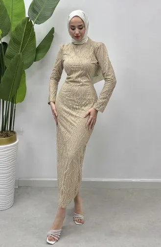 Silbriges Tüll-Abendkleid 5518-04 Beige 5518-04