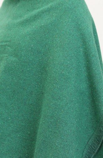 Green Poncho 2004-01