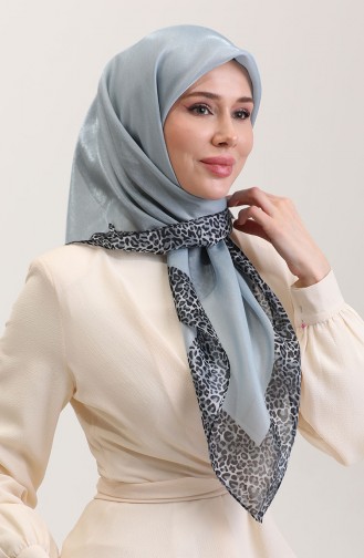 Echarpe Gris argenté 70292-07