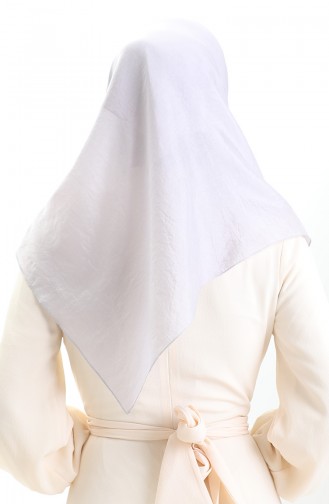 Light Gray Scarf 19098-04