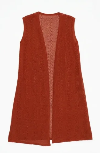 Brick Red Waistcoats 8783-06