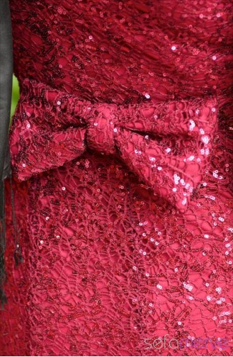 Sefamerve Tesettür Abiye Elbiseler 1104-02 Mürdüm