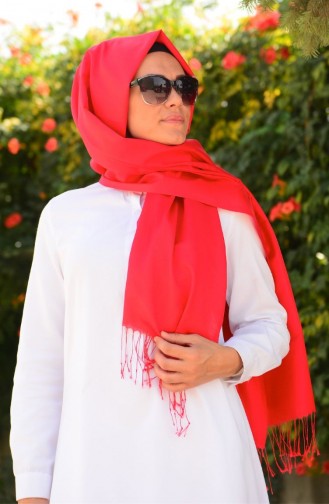 Lemon Mold Green Shawl 30
