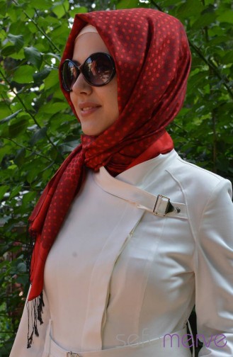 Esen Puan Desenli Şal 01