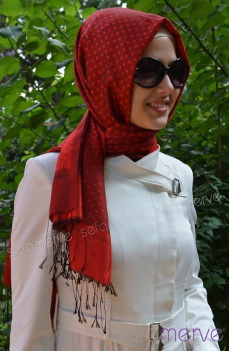 Esen Puan Desenli Şal 01